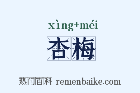 杏梅是什么意思的图片